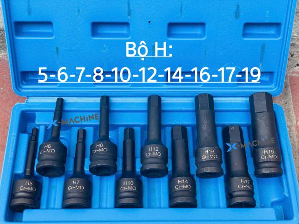 - Bộ khẩu H10 chi tiết 