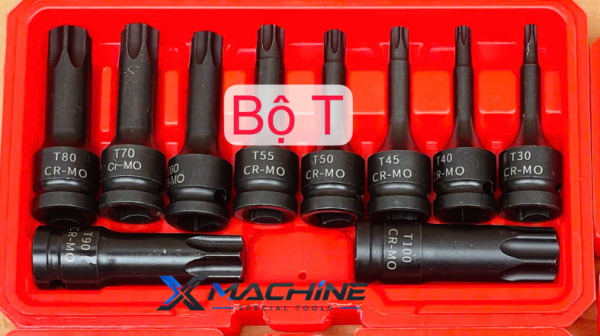 Bộ khẩu T, tuýp T 1/2